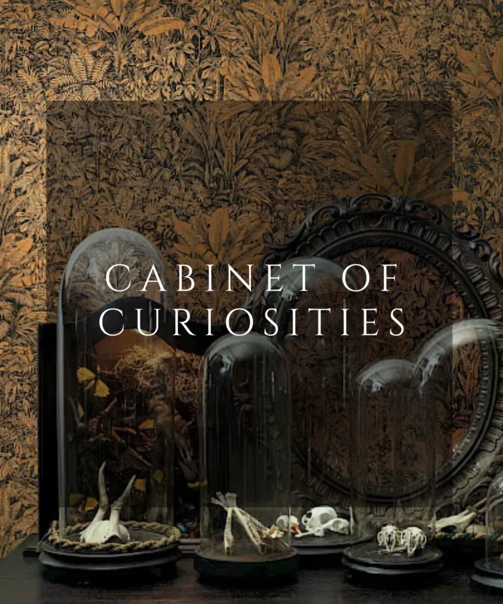 Cabinet of curiosities, Maison esclavissat