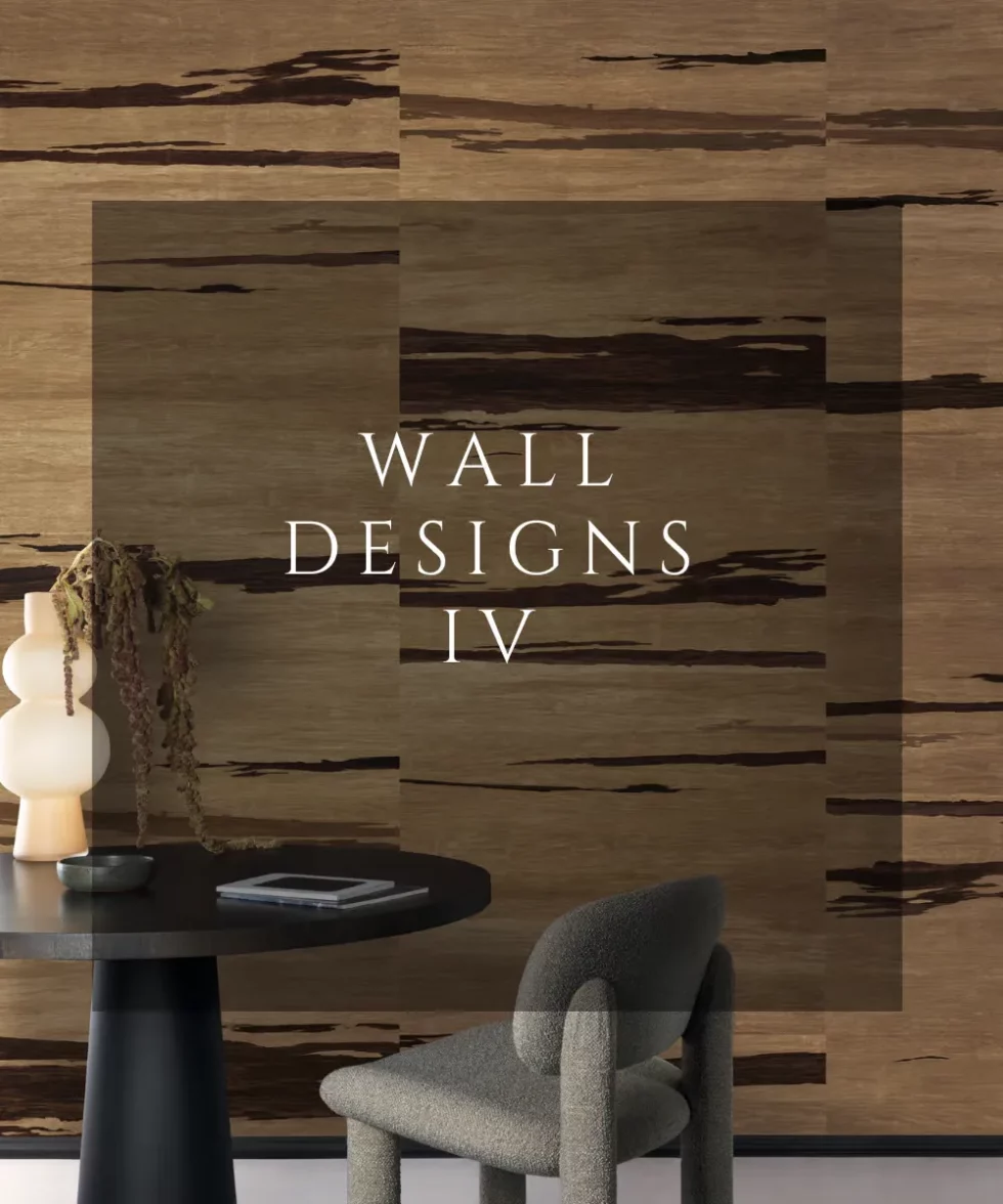 Wall design IV, Maison Esclavissat, Mâcon