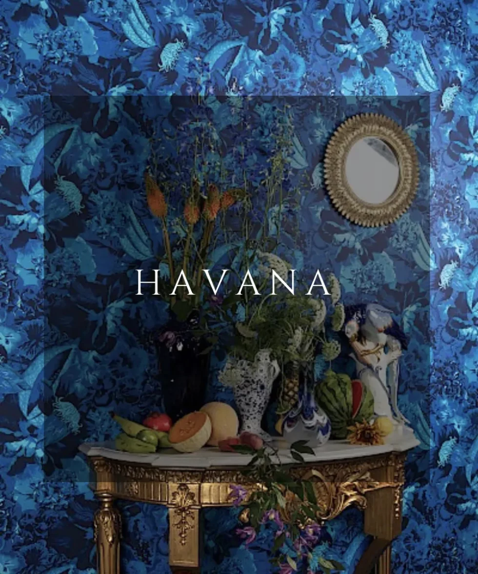 Havana, Maison Esclavissat, Mâcon