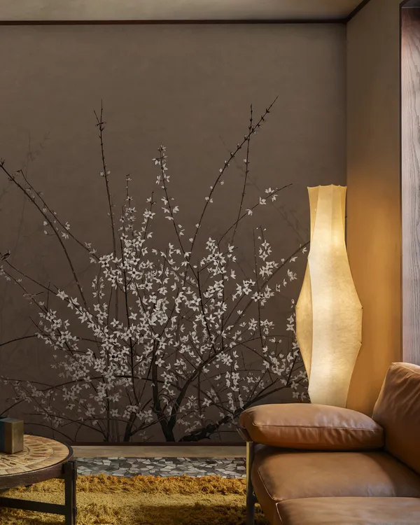 Wall ans deco papier peint